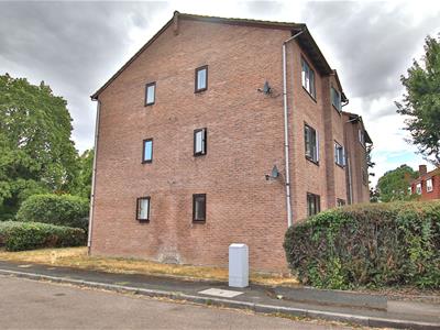 Picture 17